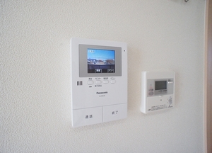 サウザン　スプリング 205号-11