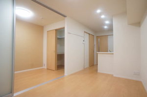 サウザンスプリングⅡ 205号-2