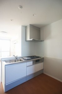 ヴァン・ルーチェ 203号-3