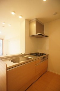 シャーメゾン山川 101号-3