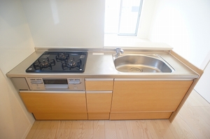 シャーメゾン山川 201号-3