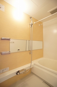 フェリシードⅡ 102号-6