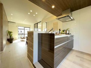 サンラフォーレC 203号-3