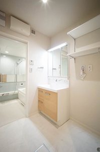 サントリナ 302号-8