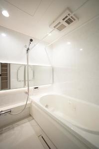 アンビシア 201号-9