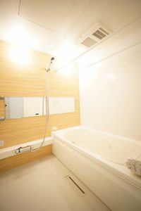 アンビシャス 202号-9