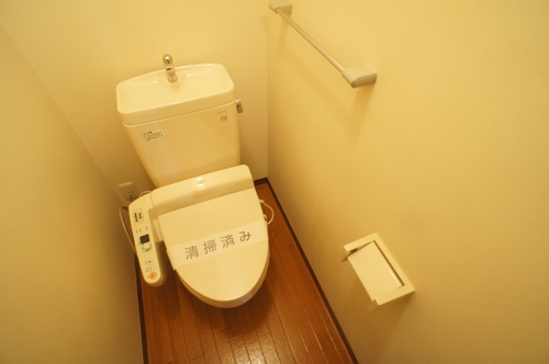 マッシーヒルズ 101号-11