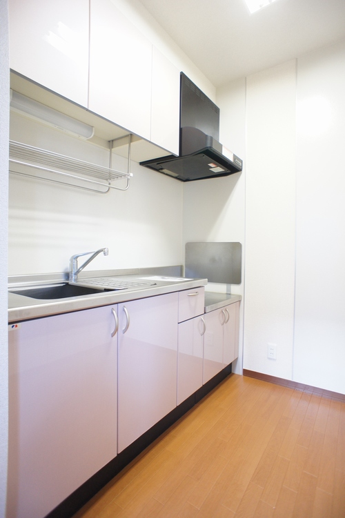 フォレスト乙女Ⅱ 203号-6