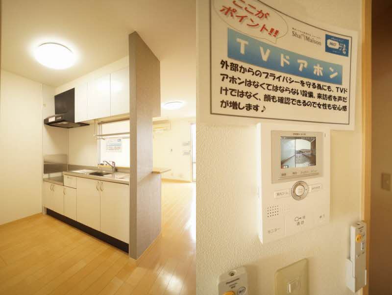 シャインヒルコート壱番館 205号-5