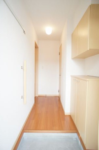 プラムグローブD 111号-11