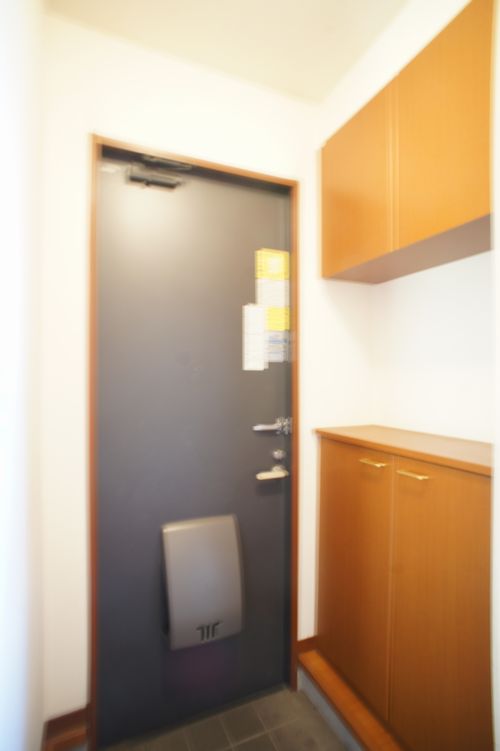 フラットリベラＣ 101号-11