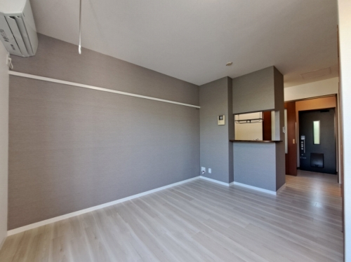 ラフィネド・メゾン 101号-3