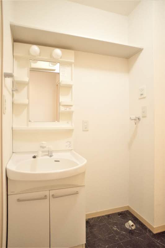 シャルマン 102号-8