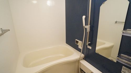 ウィステリアガーデン 203号-5