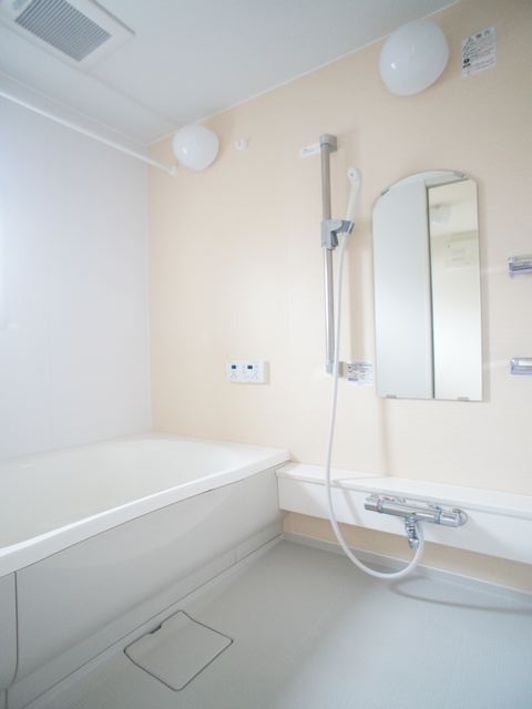 レイクシティー御茶園 C 202号-10