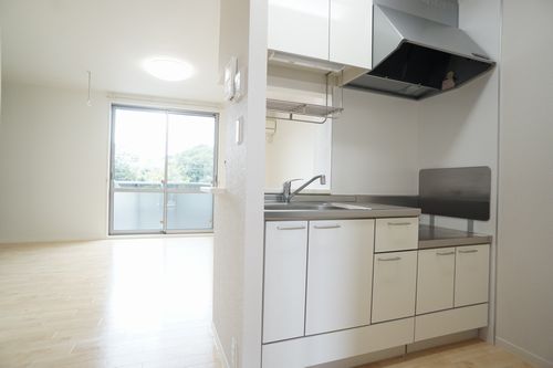 メゾン・メルベーユ 101号-3