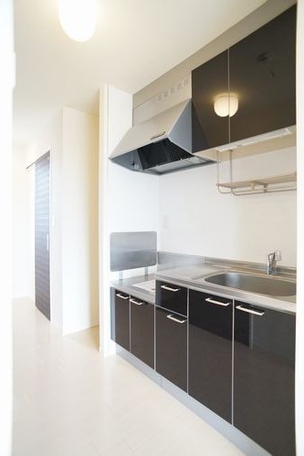 ラッ・フィナートＫ 202号-4