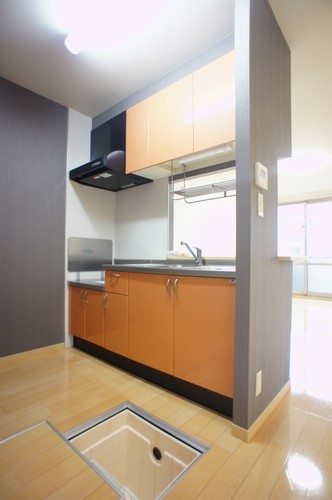 メゾン桜 102号-4