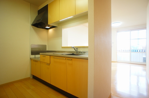 レーベン・モーアA 202号-3