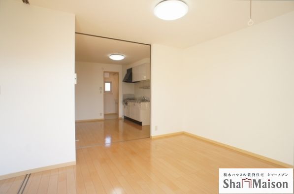 シャルマンＦ 203号-4