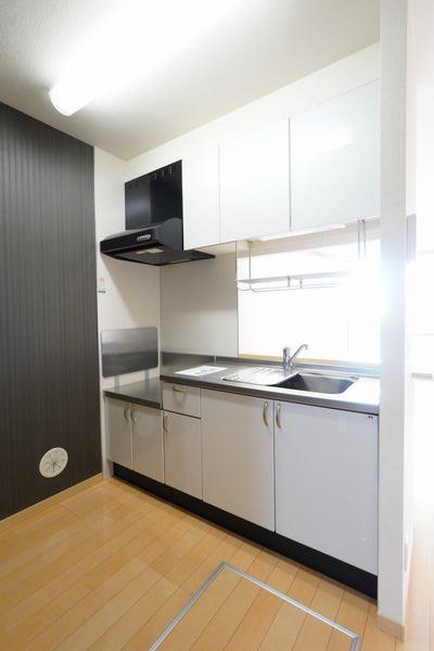 シャーメゾン桜 101号-9