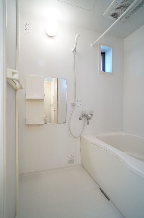 ジナンドモルフＤ 202号-6