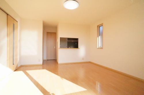 ジナンドモルフＡ 201号-3