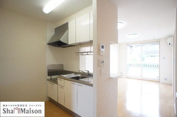 カーネーション　Ｂ 102号-4