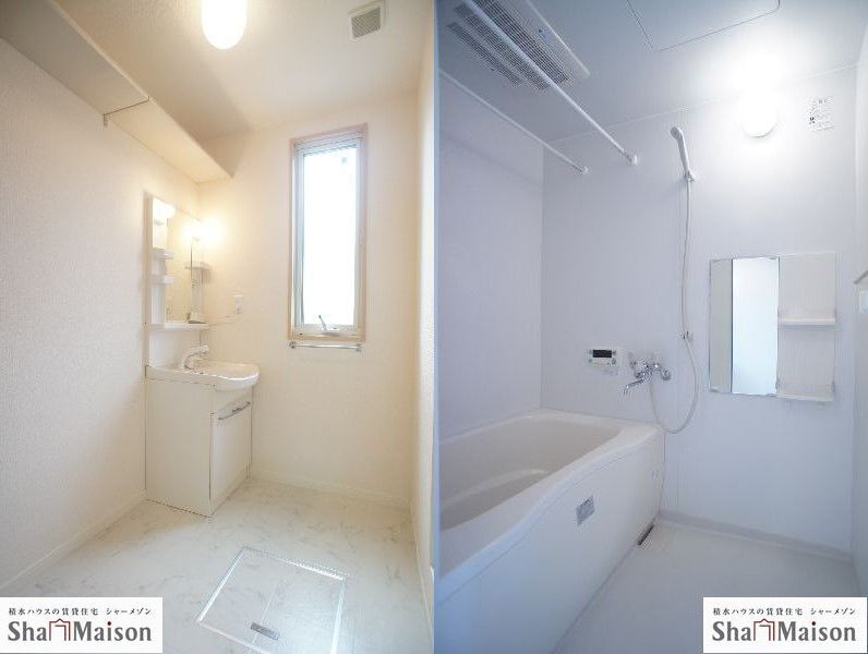 カーネーション　Ｂ 102号-5