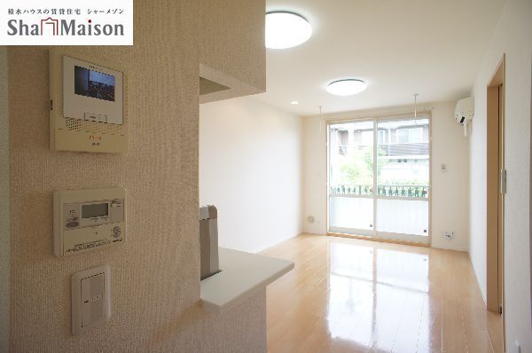 カーネーション　Ｂ 102号-8