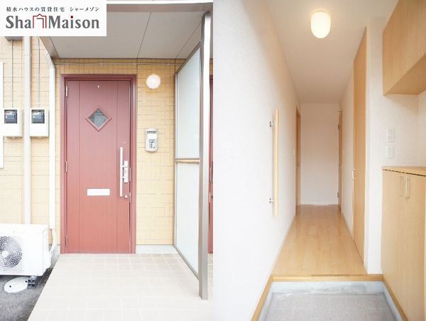 カーネーション　Ｂ 102号-9