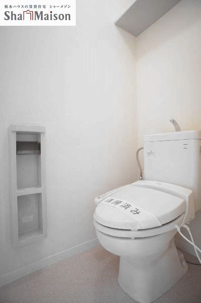 カーネーション　Ｂ 102号-11