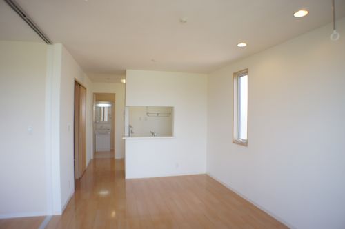 カーネーション B 201号-3