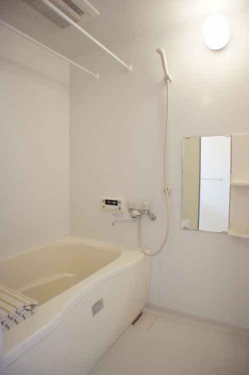 カーネーション B 201号-8