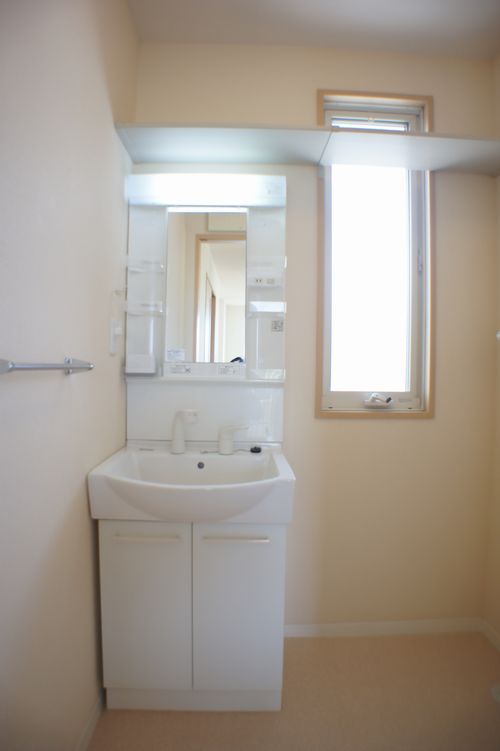 カーネーション B 201号-9