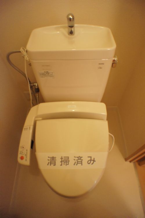 カーネーション B 201号-11