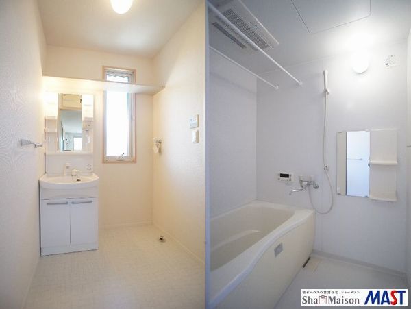 カーネーション　Ｂ 202号-4