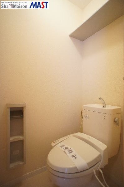 カーネーション　Ｂ 202号-11