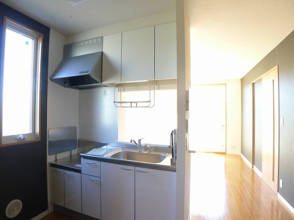 カーネーション　Ｃ 101号-3