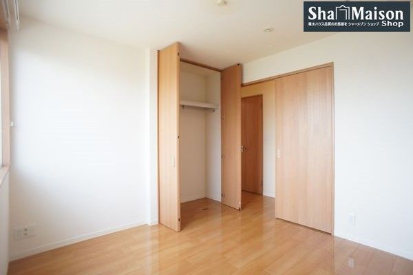 カーネーション C 202号-8