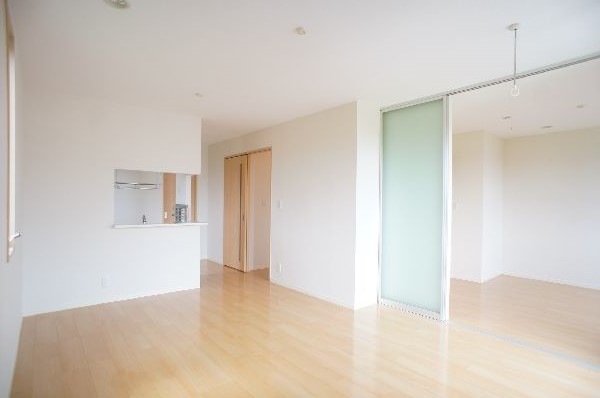 カーネーション　Ｄ 203号-3