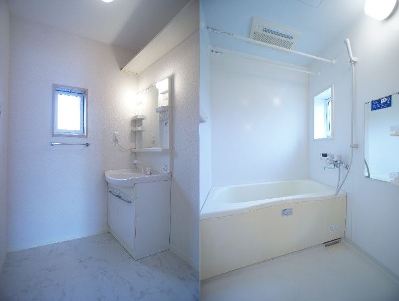 カーネーション　Ｄ 203号-5