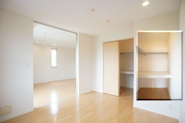 カーネーション　Ｄ 203号-6