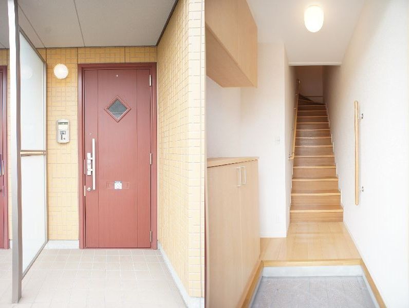 カーネーション　Ｄ 203号-9