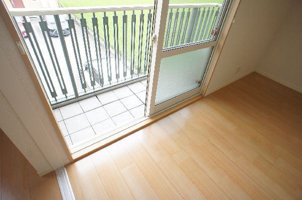 カーネーション　Ｄ 203号-10