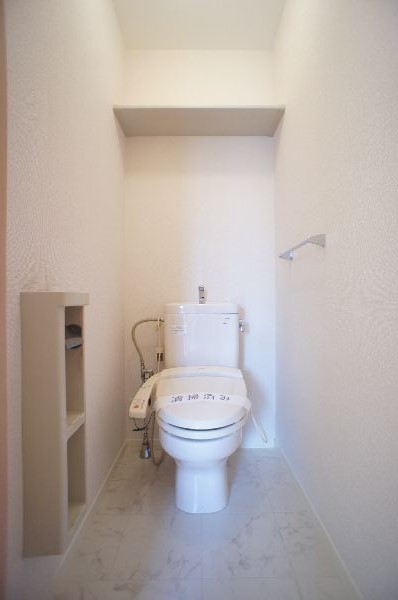 カーネーション　Ｄ 203号-11