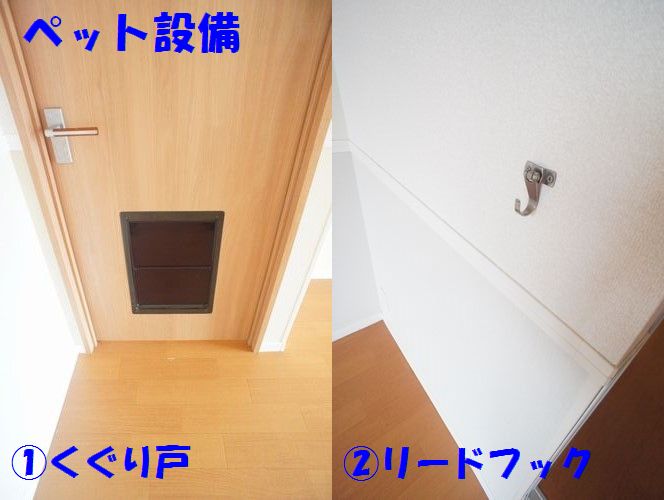 グランドゥールＳ・Ｆ 102号-11