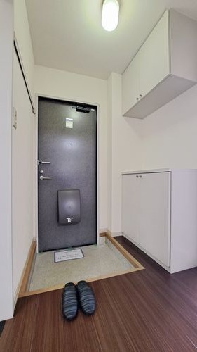 ラフォーレ福居　７ 101号-11