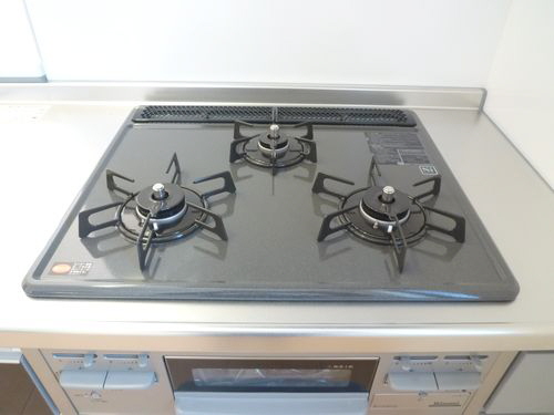 ＤＥＡＲ　ＣＯＵＲＴ　Ｎａｇｏｍｉ 202号-7