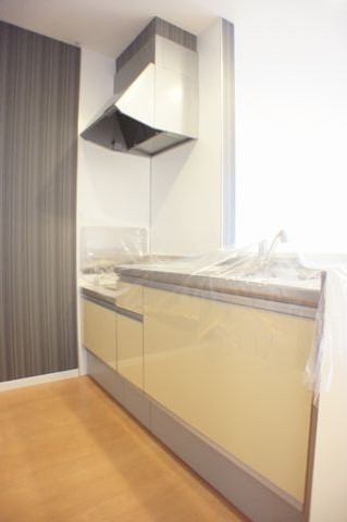 プラティニ　Ⅰ 203号-4